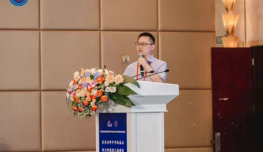 安徽工程大学 集成电路学院副院长 教授 中国电工技术学会电气节能专委会副理事长 林信南博士